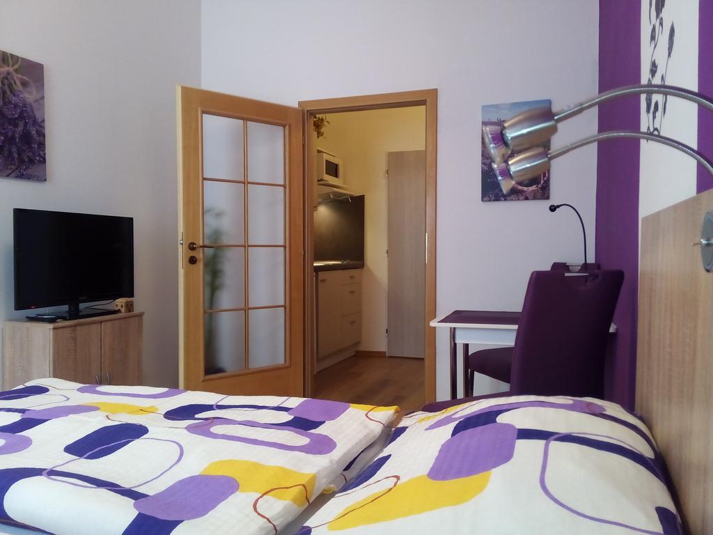 Apartmany - Penzion Smetanka Ceske Budejovice Extérieur photo