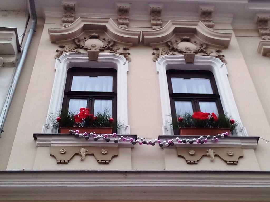 Apartmany - Penzion Smetanka Ceske Budejovice Extérieur photo